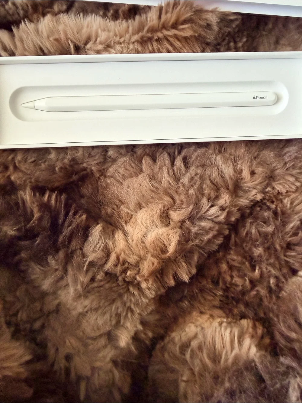 BRAND NEW Apple Pencil (2nd Generation) - White